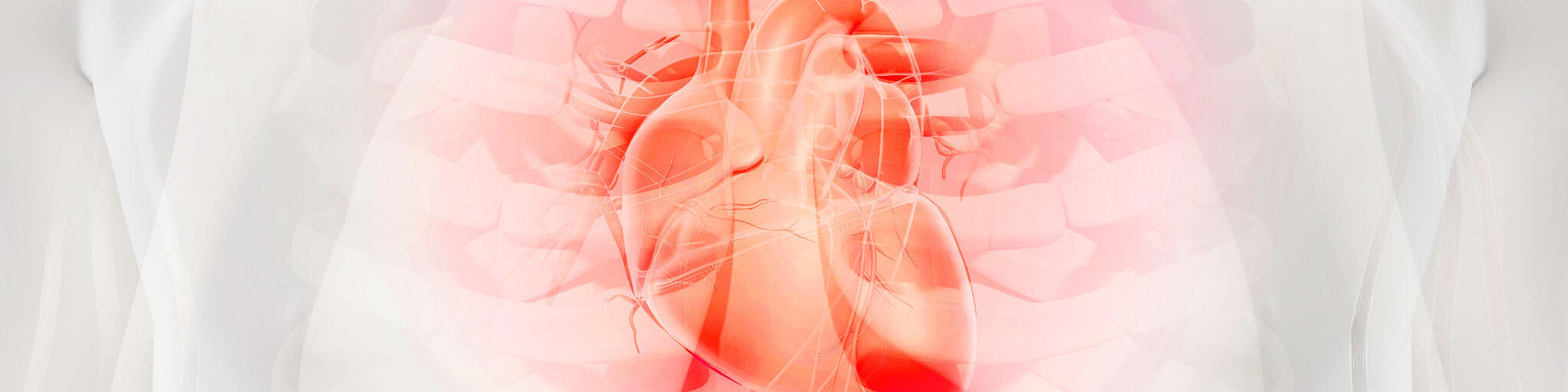 Indikationen
Herz-Kreislauf- und Gefäßerkrankungen